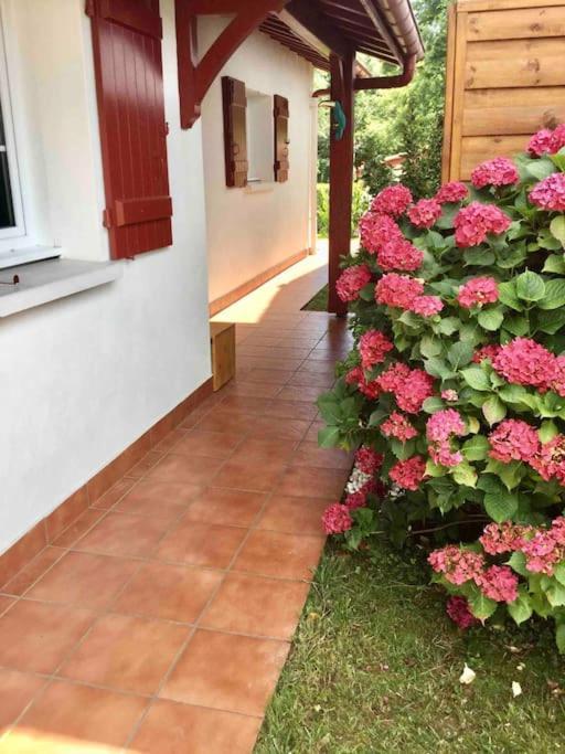 1Km Plage, Agreable Maison 6 Pers Classee 3* Hendaye Esterno foto
